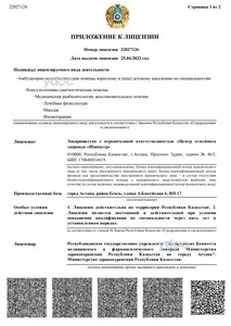 Приложение к лицензии