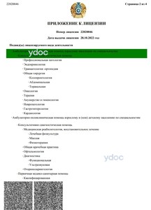 Приложение к лицензии