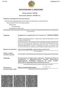 Приложение к лицензии