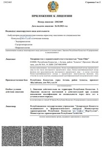 Приложение к лицензии