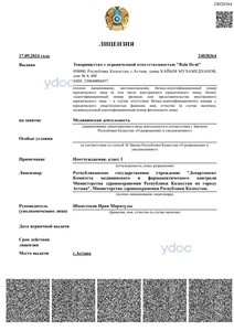 Лицензия Лицензия