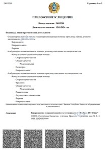 Приложение к лицензии