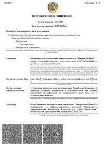 Приложение к лицензии