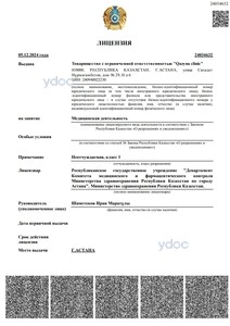 Лицензия Лицензия