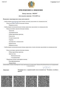 Приложение к лицензии Приложение к лицензии