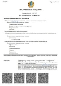 Приложение к лицензии