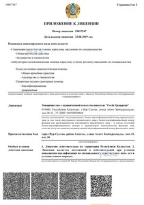 Приложение к лицензии