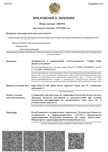 Приложение к лицензии Приложение к лицензии