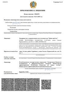 Приложение к лицензии