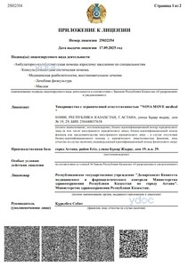 Приложение к лицензии