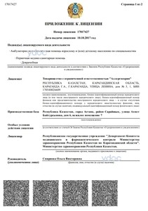 Приложение к лицензии