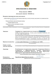 Приложение к лицензии