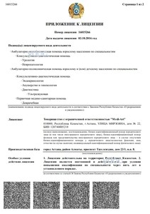 Лицензияға қосымша