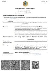 Приложение к лицензии