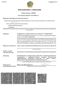 Лицензияға қосымша