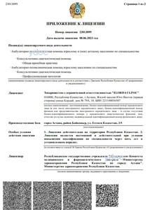 Лицензияға қосымша