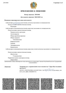 Лицензияға қосымша