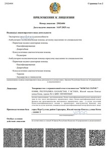 Лицензияға қосымша