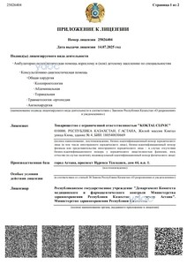 Лицензияға қосымша