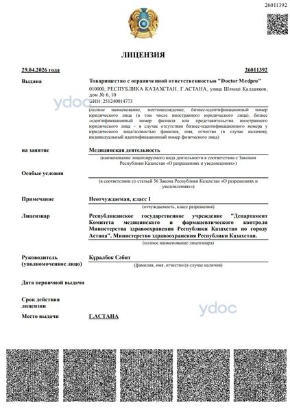 Лицензия Лицензия