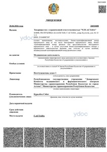 Лицензия Лицензия