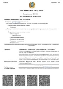 Лицензия Лицензия