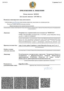 Приложение к лицензии Приложение к лицензии