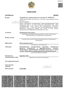Лицензия Лицензия