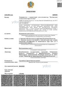 Лицензия Лицензия