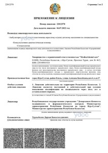 Лицензия Лицензия