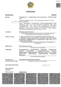 Лицензия Лицензия