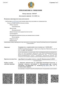 Лицензияға қосымша Лицензияға қосымша
