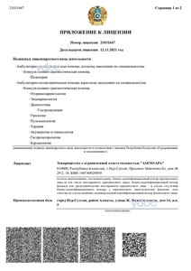 Лицензияға қосымша Лицензияға қосымша