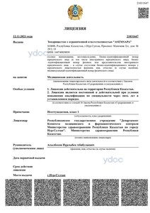 Лицензия Лицензия