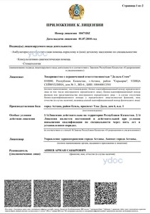 Лицензия Лицензия