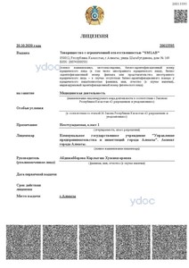 Лицензия Лицензия