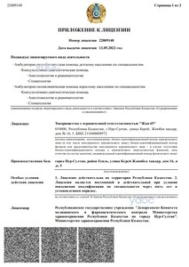 Лицензияға қосымша