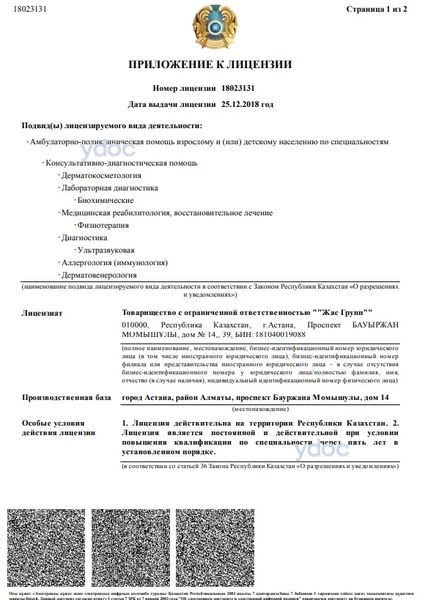 Лицензия Лицензия