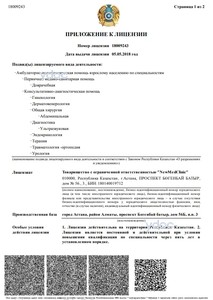 Приложение к лицензии