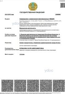 Лицензия Лицензия