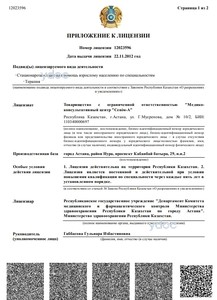 Приложение к лицензии