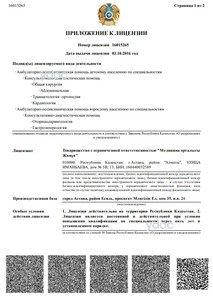 Приложение к лицензии