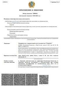 Приложение к лицензии