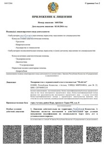 Приложение к лицензии