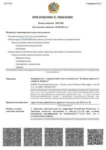 Приложение к лицензии