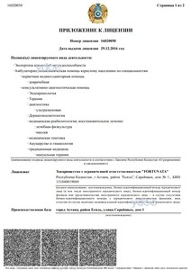 Приложение к лицензии