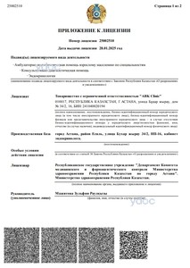 Приложение к лицензии