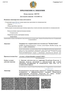 Приложение к лицензии