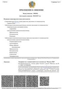 Приложение к лицензии Приложение к лицензии