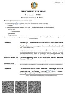 Приложение к лицензии